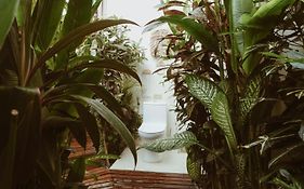 Punta Punta Surf Retreat